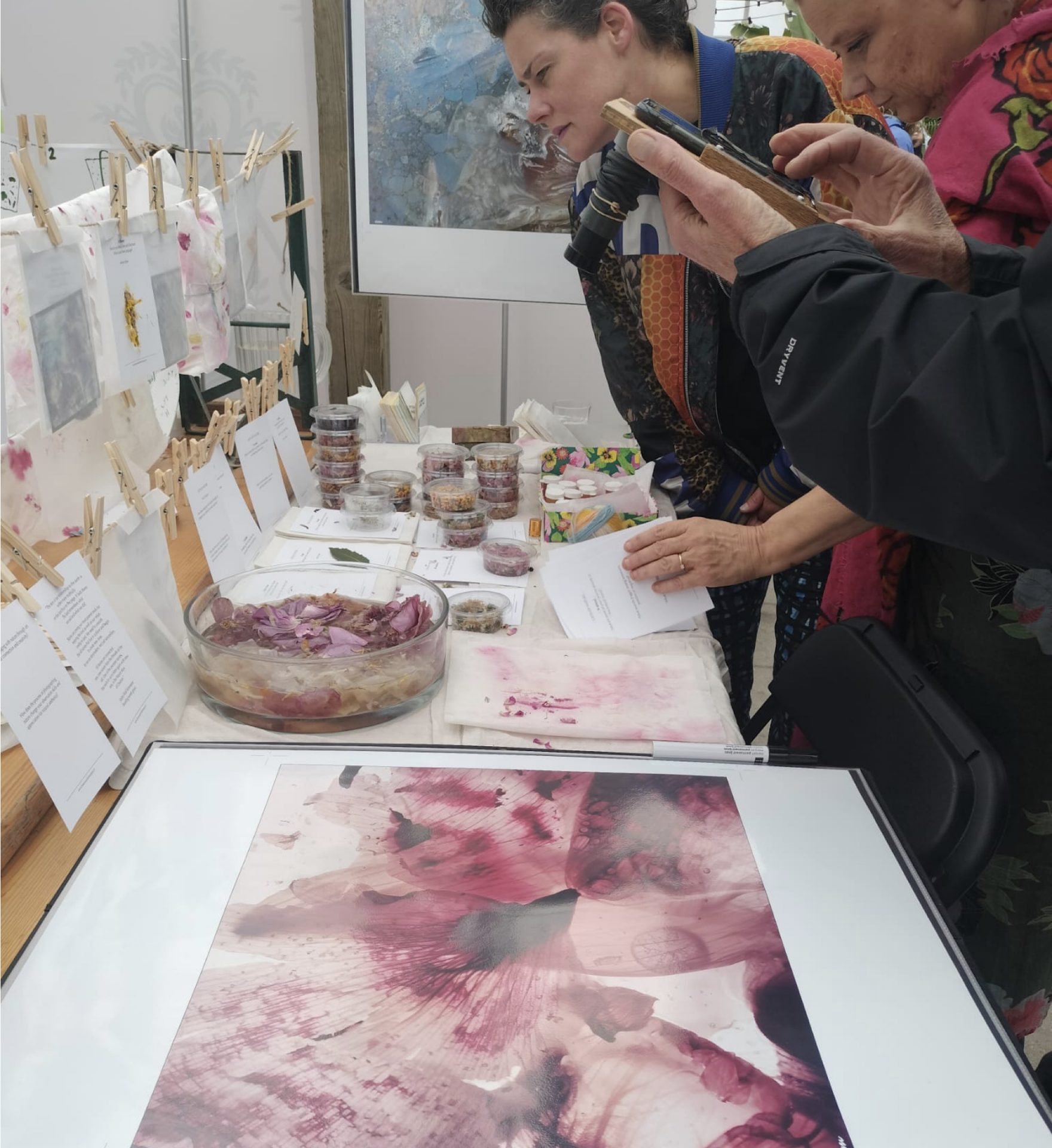 The Art of Shifting Perspectives